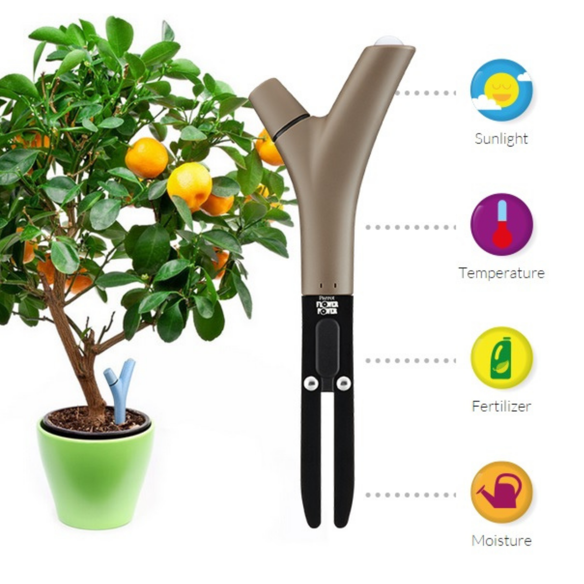 PARROT FLOWER POWER (Parrot, IOT)