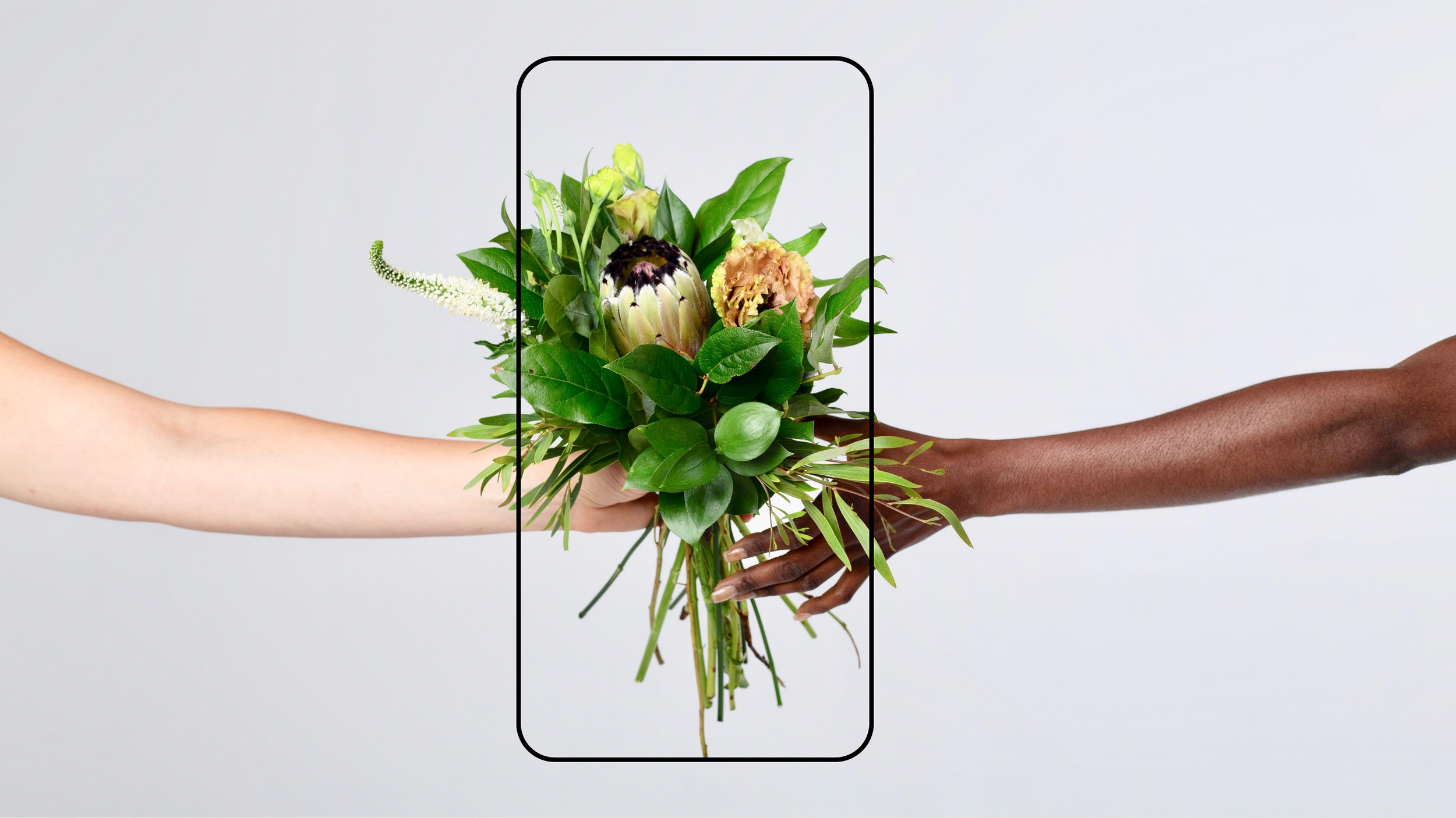 Petalfox (Product Launch)