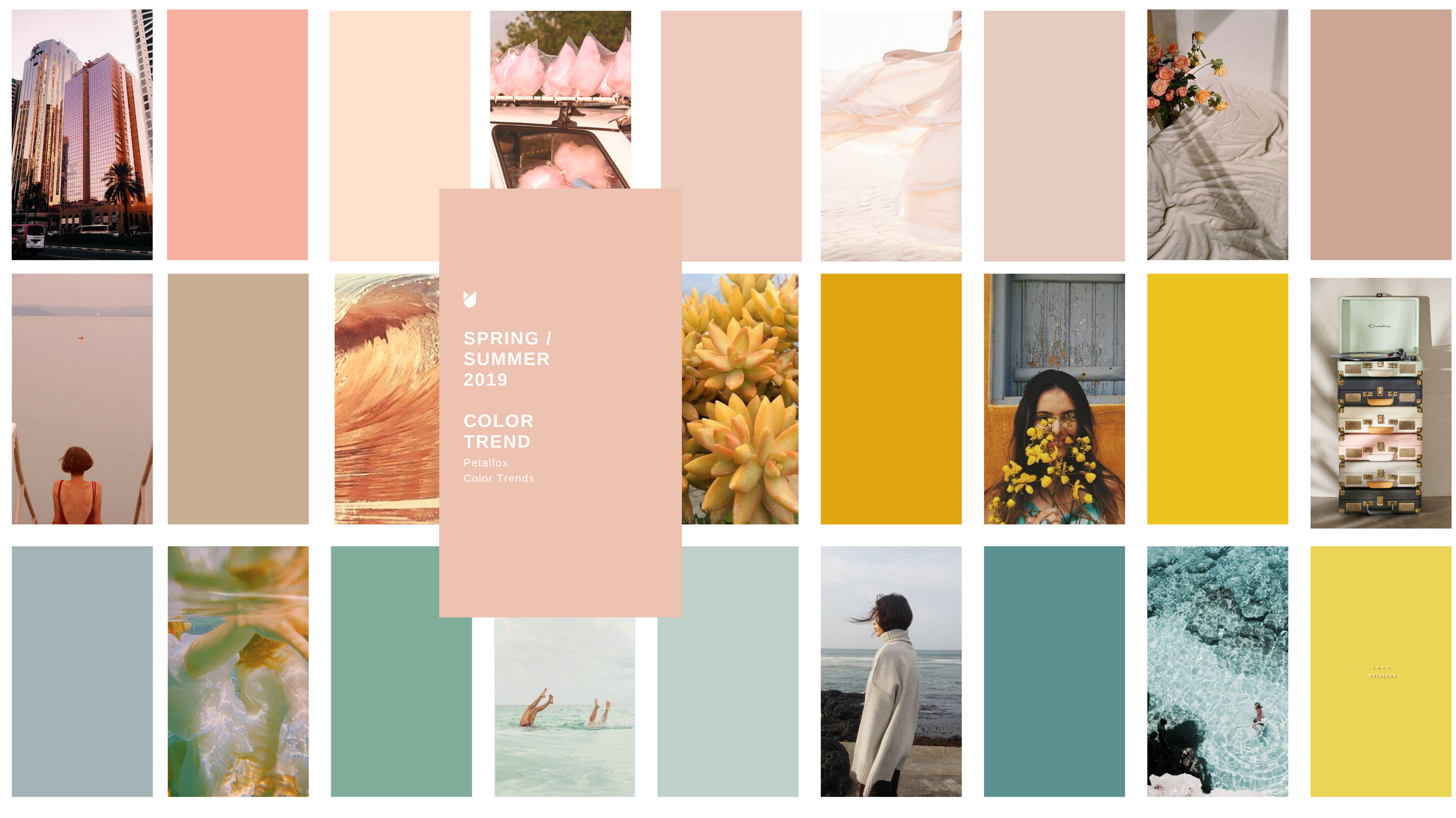 Petalfox 'Spring/Summer 2019 Color Trend' moodboard: grid of peach, mustard, and teal photos and color blocks.