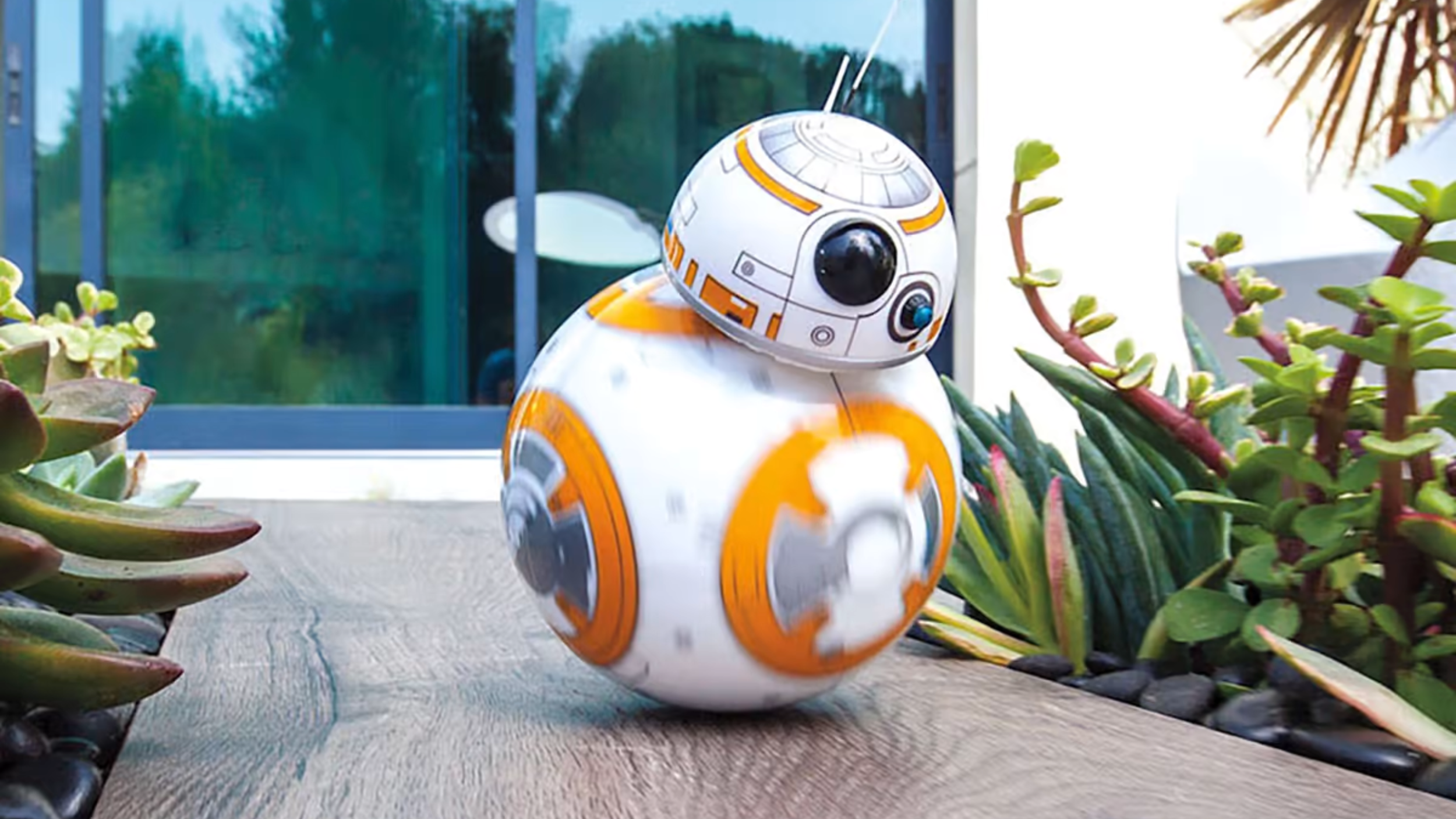 Sphero BB-8 droid, a white and orange ball robot with a domed head, on a wooden ledge among succulents with a garden and glass wall behind